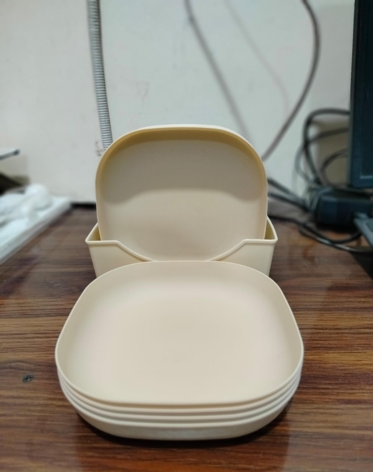 🍽️ Pack of 10 Fancy Plates with 1 Plate Stand